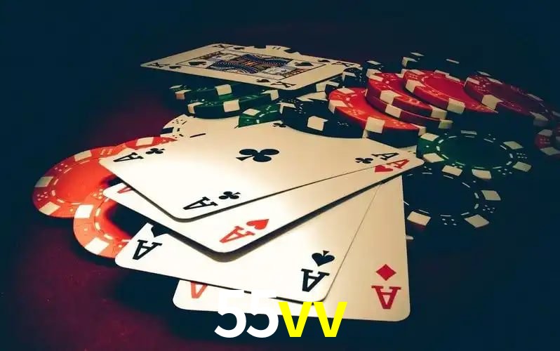 55vv visual 2